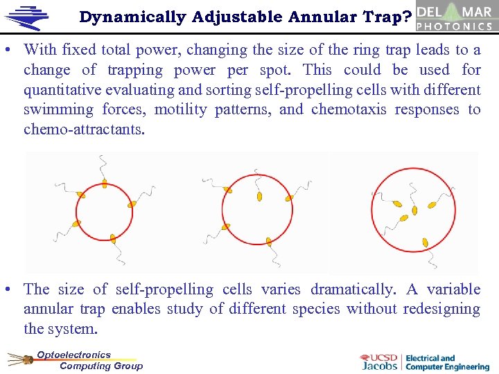 Dynamically Adjustable Annular Trap? • With fixed total power, changing the size of the