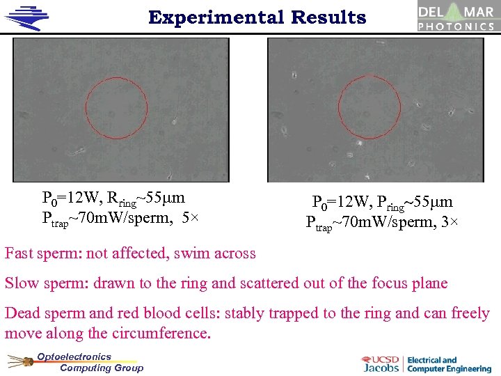 Experimental Results P 0=12 W, Rring~55 mm Ptrap~70 m. W/sperm, 5× P 0=12 W,