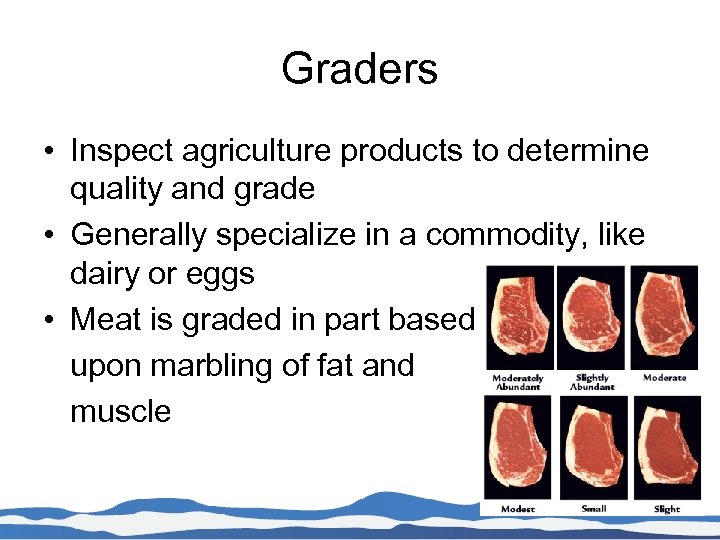 Graders • Inspect agriculture products to determine quality and grade • Generally specialize in