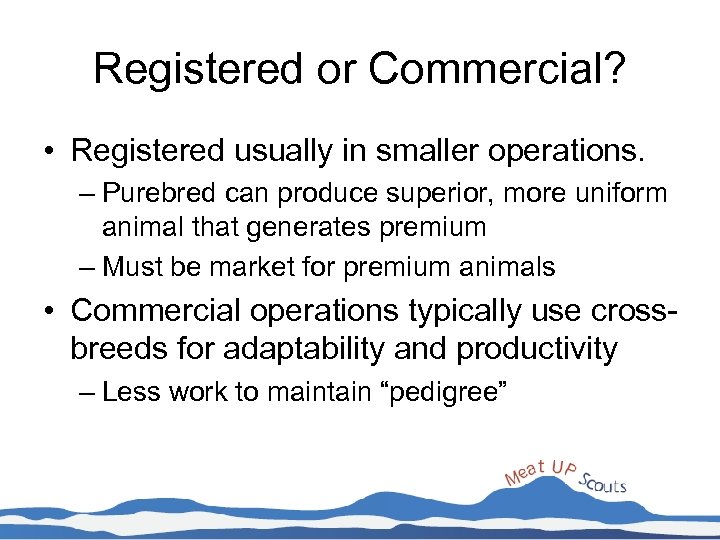 Registered or Commercial? • Registered usually in smaller operations. – Purebred can produce superior,