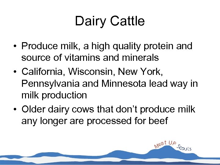Dairy Cattle • Produce milk, a high quality protein and source of vitamins and