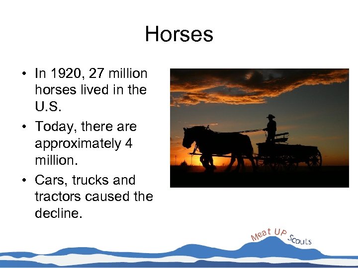 Horses • In 1920, 27 million horses lived in the U. S. • Today,