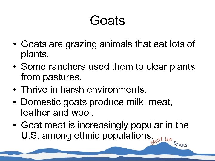 Goats • Goats are grazing animals that eat lots of plants. • Some ranchers