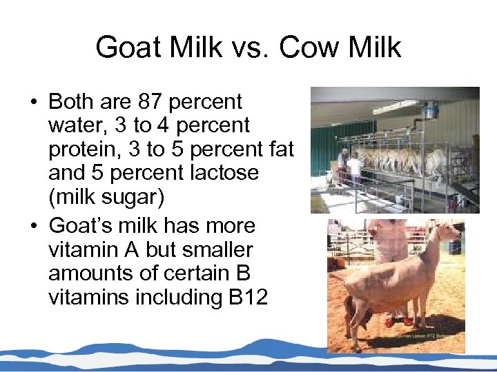 Goat Milk vs. Cow Milk • Both are 87 percent water, 3 to 4