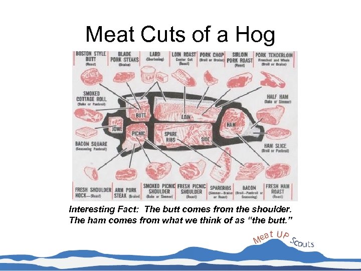 Meat Cuts of a Hog Interesting Fact: The butt comes from the shoulder. The