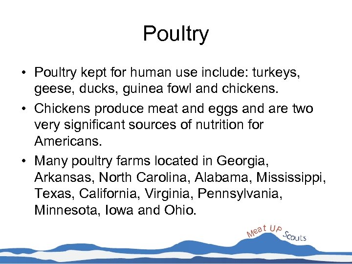Poultry • Poultry kept for human use include: turkeys, geese, ducks, guinea fowl and