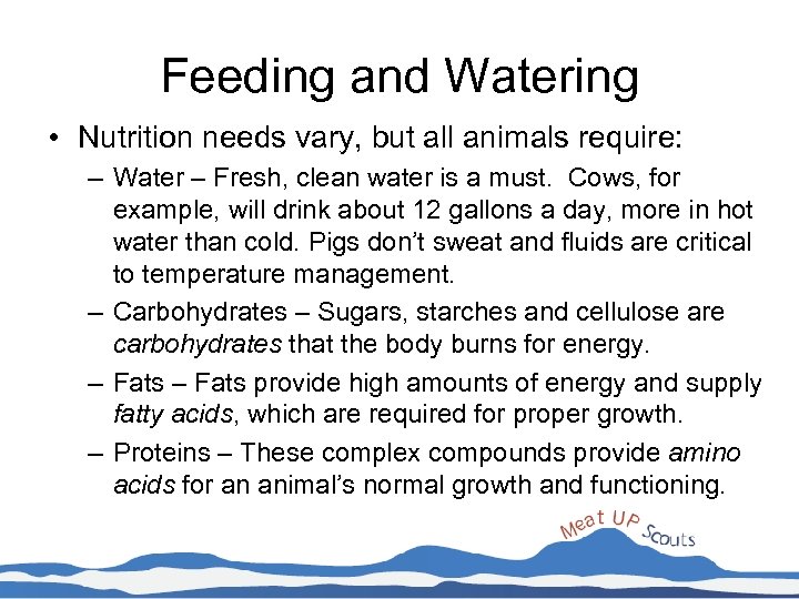 Feeding and Watering • Nutrition needs vary, but all animals require: – Water –