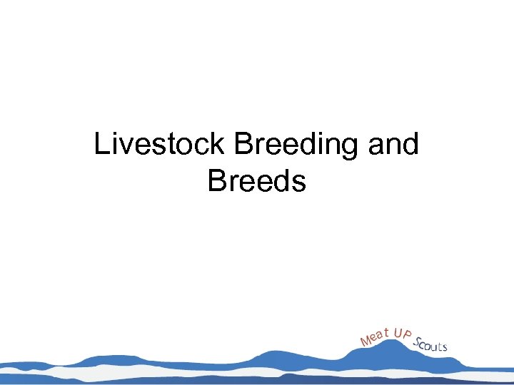 Livestock Breeding and Breeds 