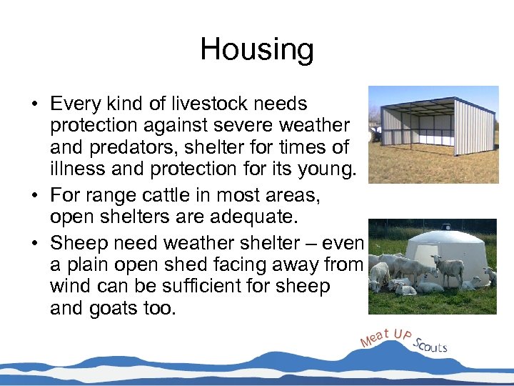 Housing • Every kind of livestock needs protection against severe weather and predators, shelter