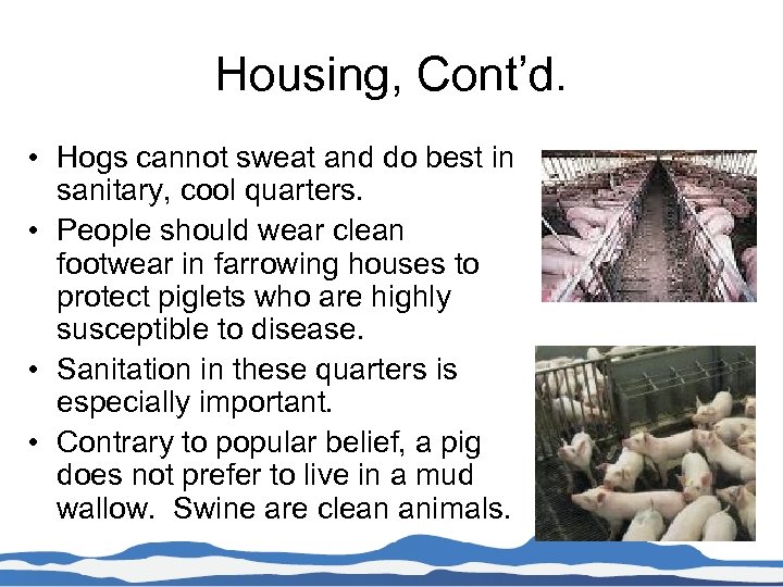 Housing, Cont’d. • Hogs cannot sweat and do best in sanitary, cool quarters. •