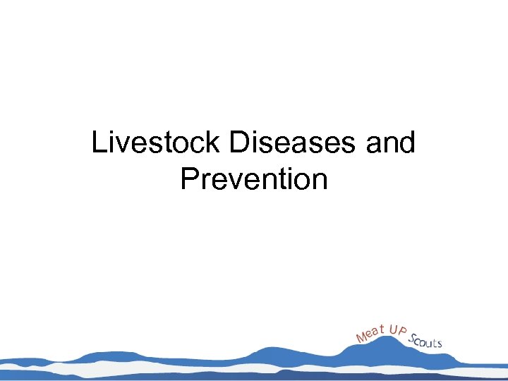 Livestock Diseases and Prevention 