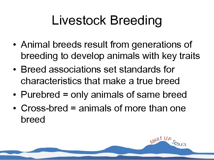 Livestock Breeding • Animal breeds result from generations of breeding to develop animals with