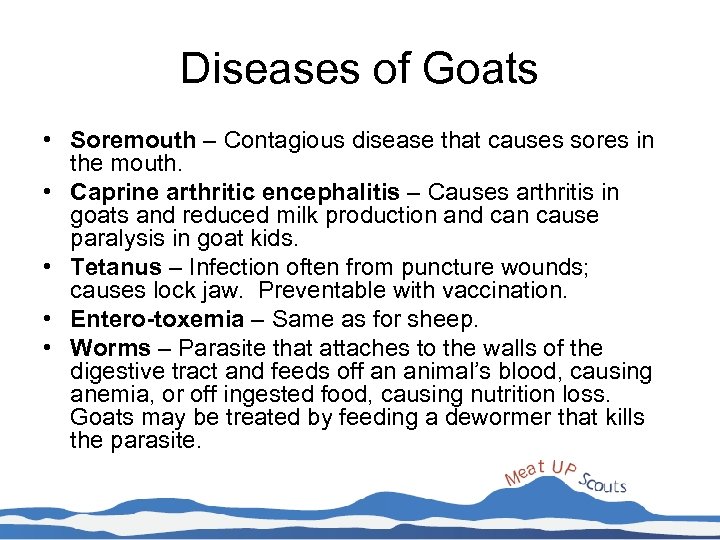 Diseases of Goats • Soremouth – Contagious disease that causes sores in the mouth.