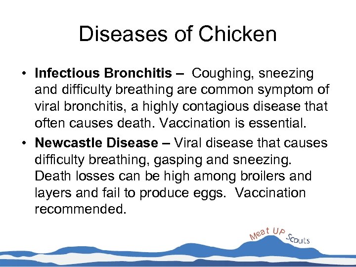 Diseases of Chicken • Infectious Bronchitis – Coughing, sneezing and difficulty breathing are common