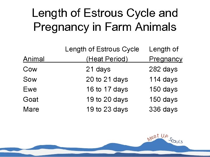 Length of Estrous Cycle and Pregnancy in Farm Animals Animal Cow Sow Ewe Goat