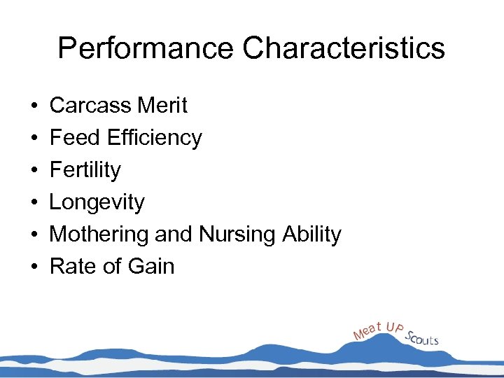 Performance Characteristics • • • Carcass Merit Feed Efficiency Fertility Longevity Mothering and Nursing