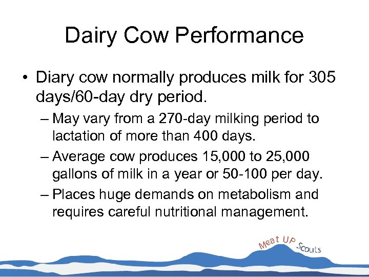 Dairy Cow Performance • Diary cow normally produces milk for 305 days/60 -day dry