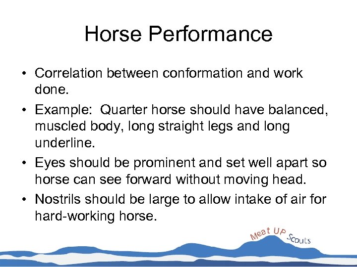 Horse Performance • Correlation between conformation and work done. • Example: Quarter horse should