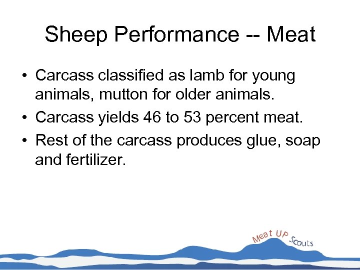 Sheep Performance -- Meat • Carcass classified as lamb for young animals, mutton for