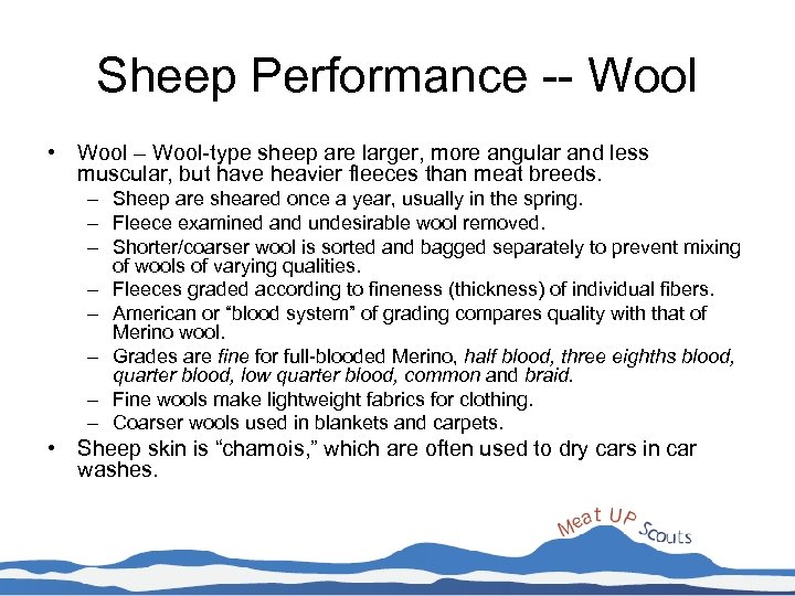 Sheep Performance -- Wool • Wool – Wool-type sheep are larger, more angular and