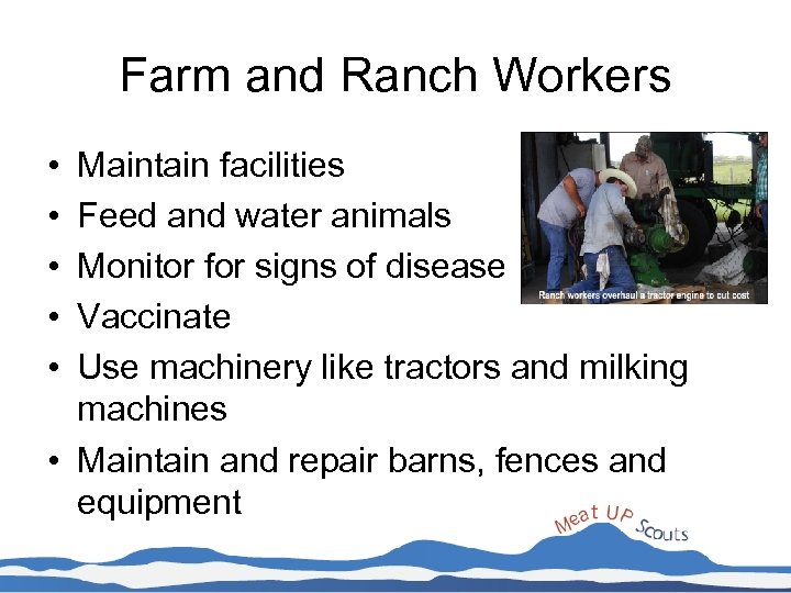 Farm and Ranch Workers • • • Maintain facilities Feed and water animals Monitor