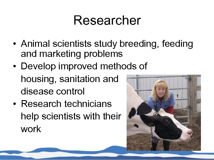 Researcher • Animal scientists study breeding, feeding and marketing problems • Develop improved methods