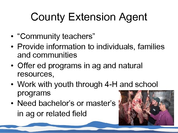 County Extension Agent • “Community teachers” • Provide information to individuals, families and communities