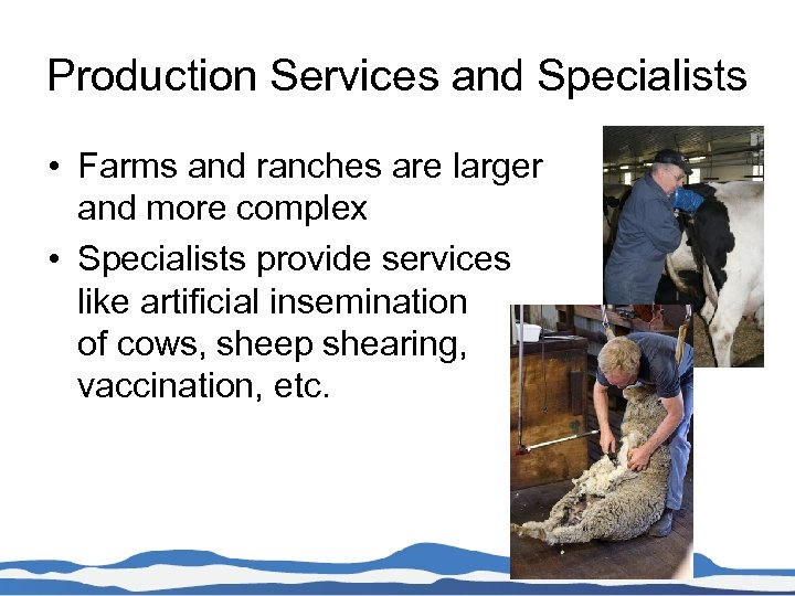 Production Services and Specialists • Farms and ranches are larger and more complex •