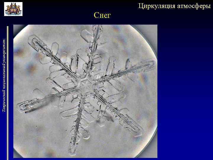 Таврический национальный университет. Циркуляция атмосферы Снег 