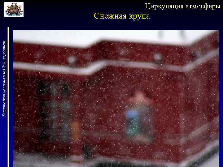 Таврический национальный университет. Циркуляция атмосферы Снежная крупа 