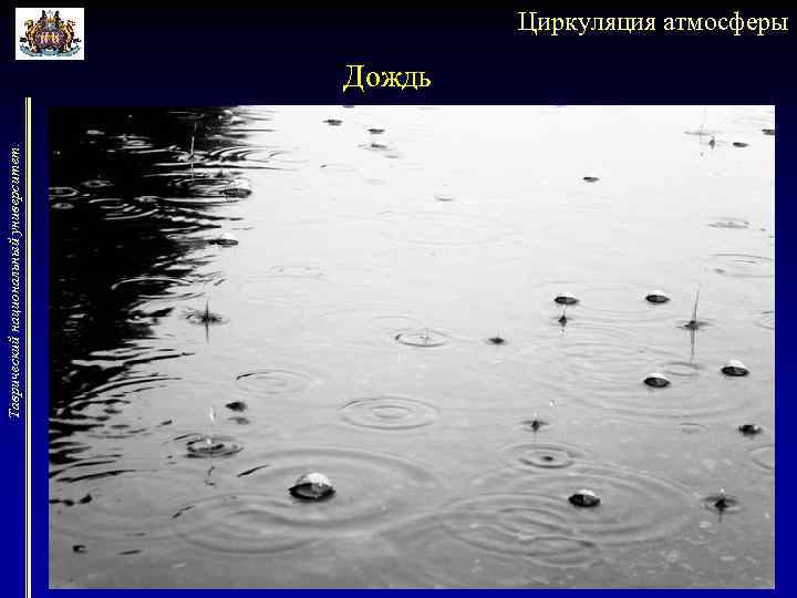 Таврический национальный университет. Циркуляция атмосферы Дождь 