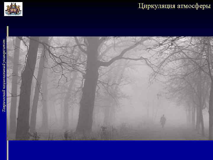 Таврический национальный университет. Циркуляция атмосферы 