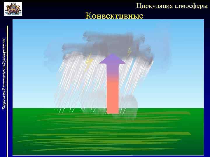 Таврический национальный университет. Циркуляция атмосферы Конвективные 