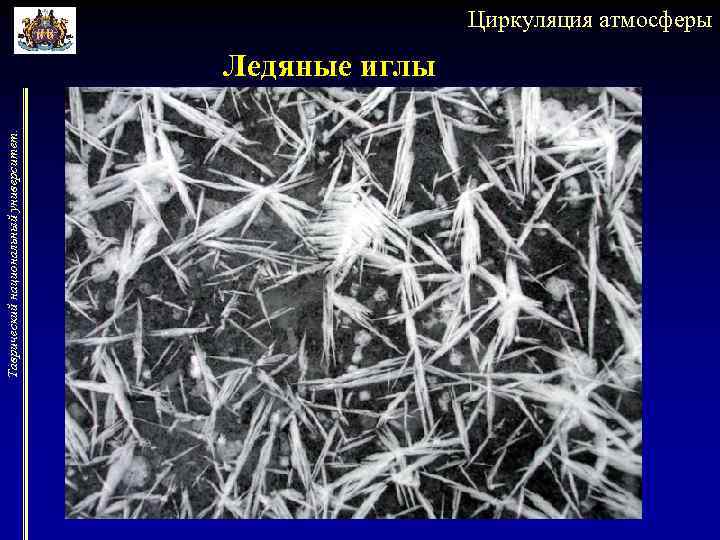 Таврический национальный университет. Циркуляция атмосферы Ледяные иглы 