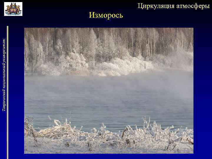 Таврический национальный университет. Циркуляция атмосферы Изморось 