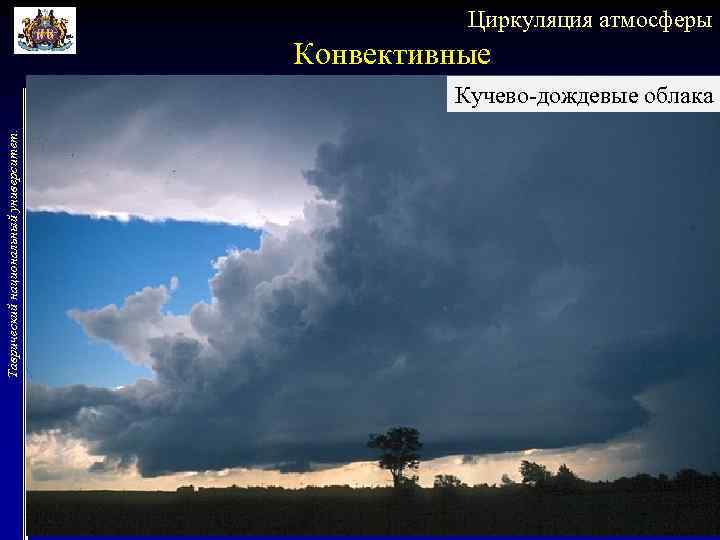 Циркуляция атмосферы Конвективные Таврический национальный университет. Кучево-дождевые облака 