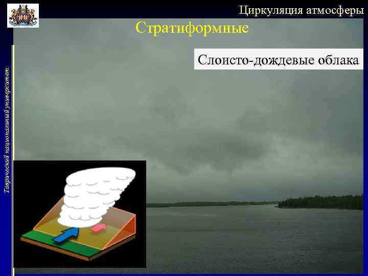 Циркуляция атмосферы Таврический национальный университет. Стратиформные Слоисто-дождевые облака 