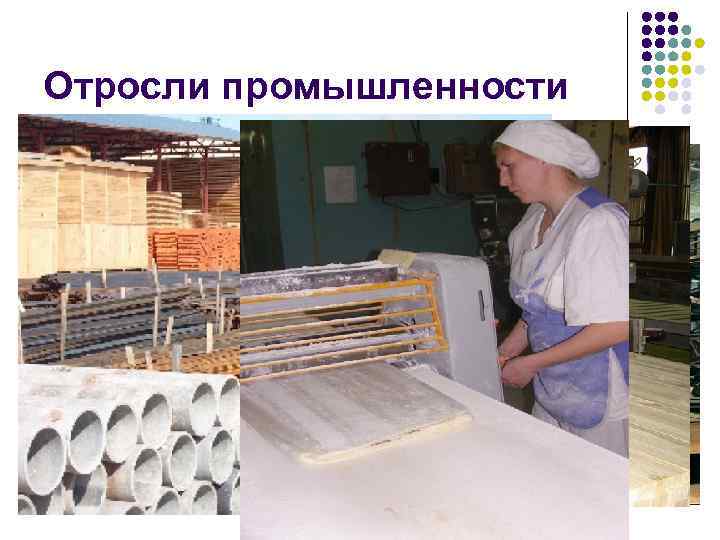 Отросли промышленности 