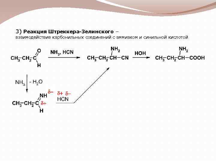 3) Реакция Штреккера-Зелинского – взаимодействие карбонильных соединений с аммиаком и синильной кислотой 