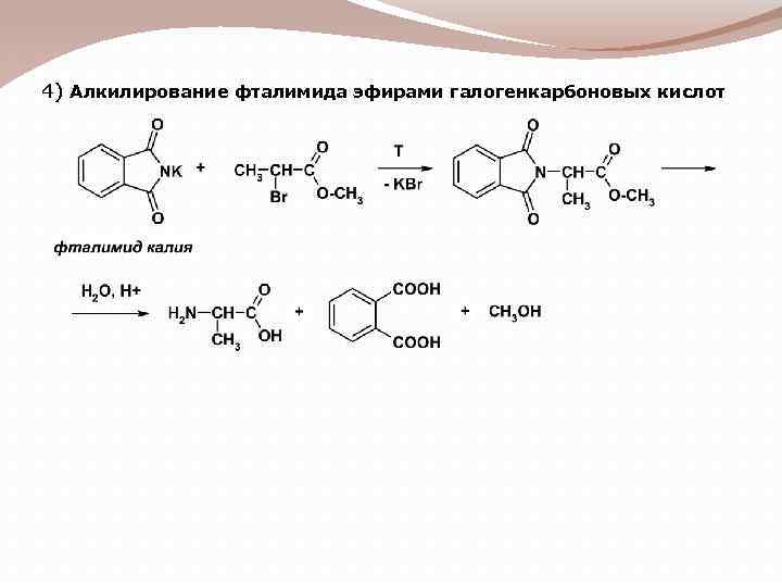 4) Алкилирование фталимида эфирами галогенкарбоновых кислот 