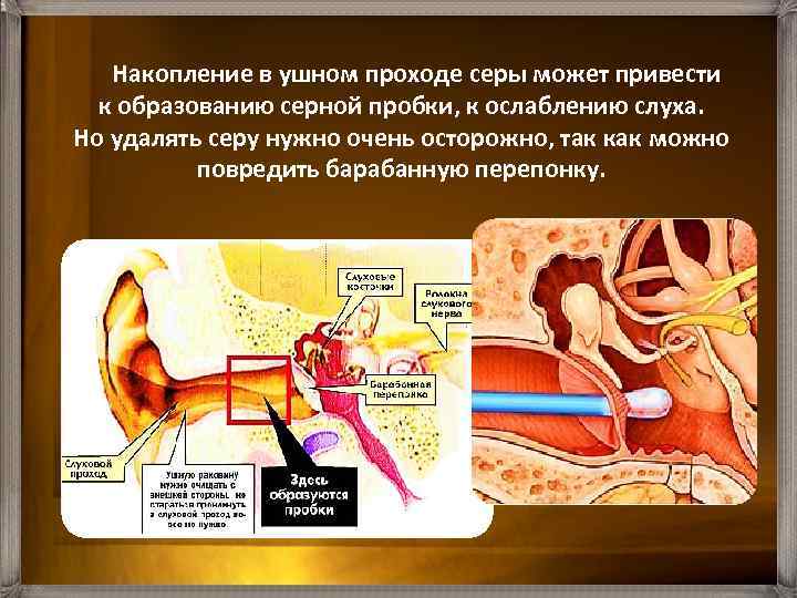 Прокол ушной раковины фото