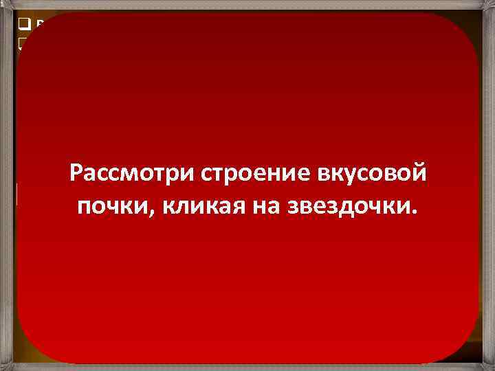 q Вкусовые почки имеют овальную форму. q Диаметр вкусовых почек составляет всего 0, 05