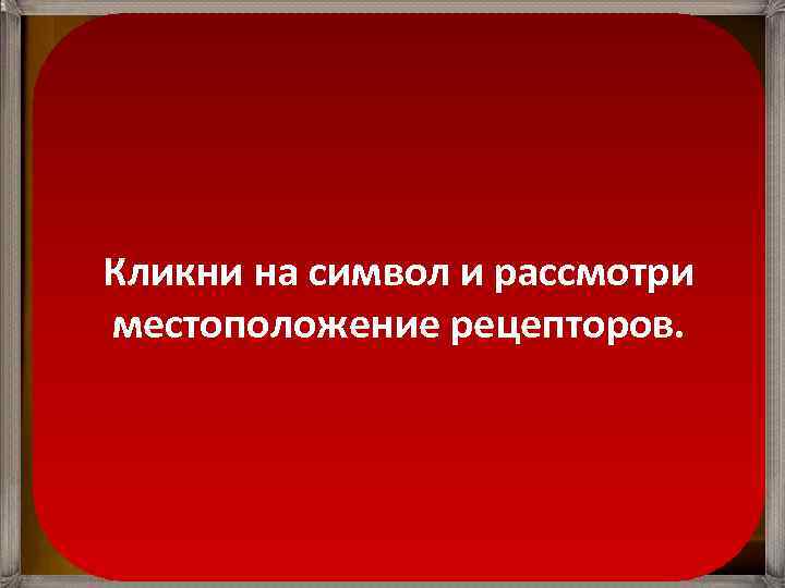 Сладкое Горькое Кликни на символ и рассмотри местоположение рецепторов. Кислое Соленое 