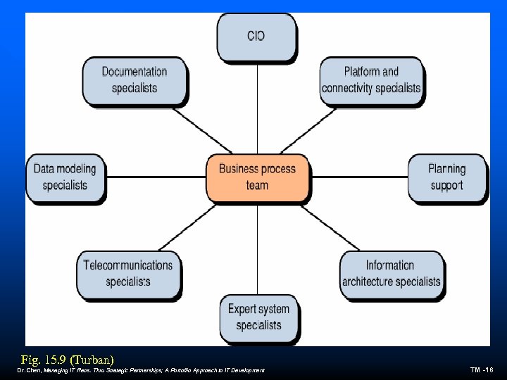 Fig. 15. 9 (Turban) Dr. Chen, Managing IT Reos. Thru Strategic Partnerships; A Portoflio