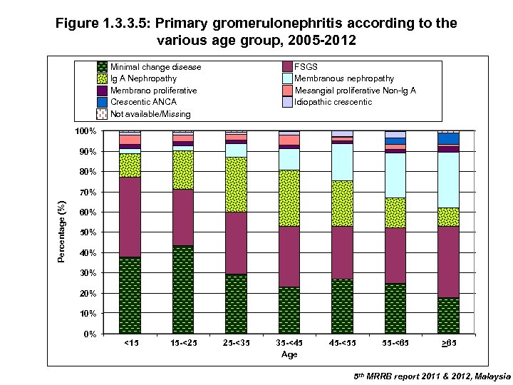 Figure 1. 3. 3. 5: Primary gromerulonephritis according to the various age group, 2005