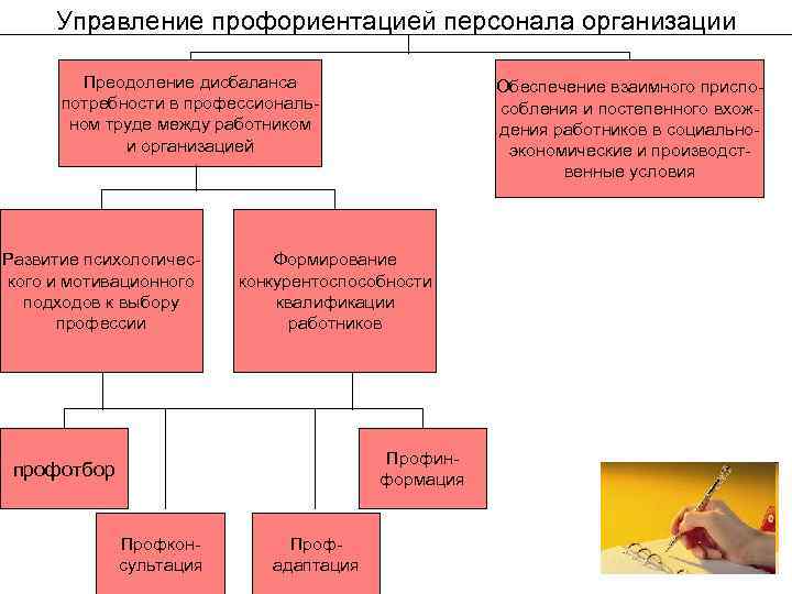 Управление профориентацией персонала организации Преодоление дисбаланса потребности в профессиональном труде между работником и организацией