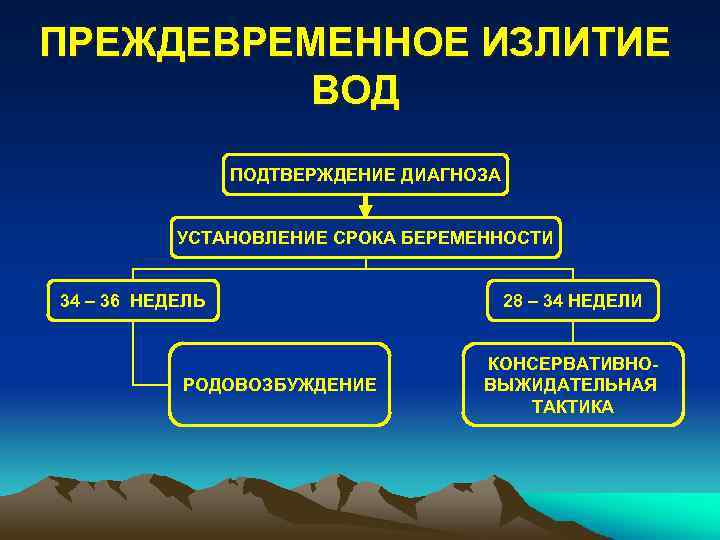 ПРЕЖДЕВРЕМЕННОЕ ИЗЛИТИЕ ВОД ПОДТВЕРЖДЕНИЕ ДИАГНОЗА УСТАНОВЛЕНИЕ СРОКА БЕРЕМЕННОСТИ 34 – 36 НЕДЕЛЬ РОДОВОЗБУЖДЕНИЕ 28