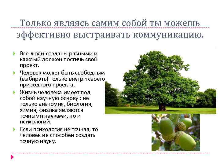 Только являясь самим собой ты можешь эффективно выстраивать коммуникацию. Все люди созданы разными и