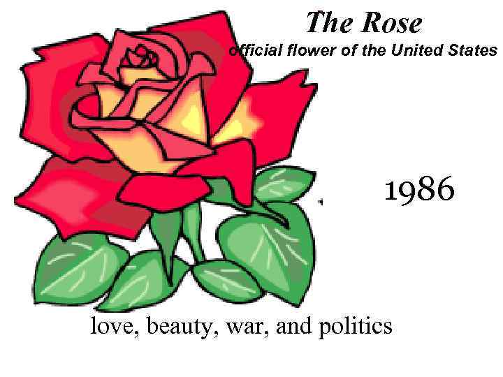 The Rose official flower of the United States 1986 love, beauty, war, and politics