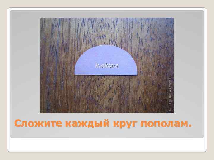 Сложите каждый круг пополам. 